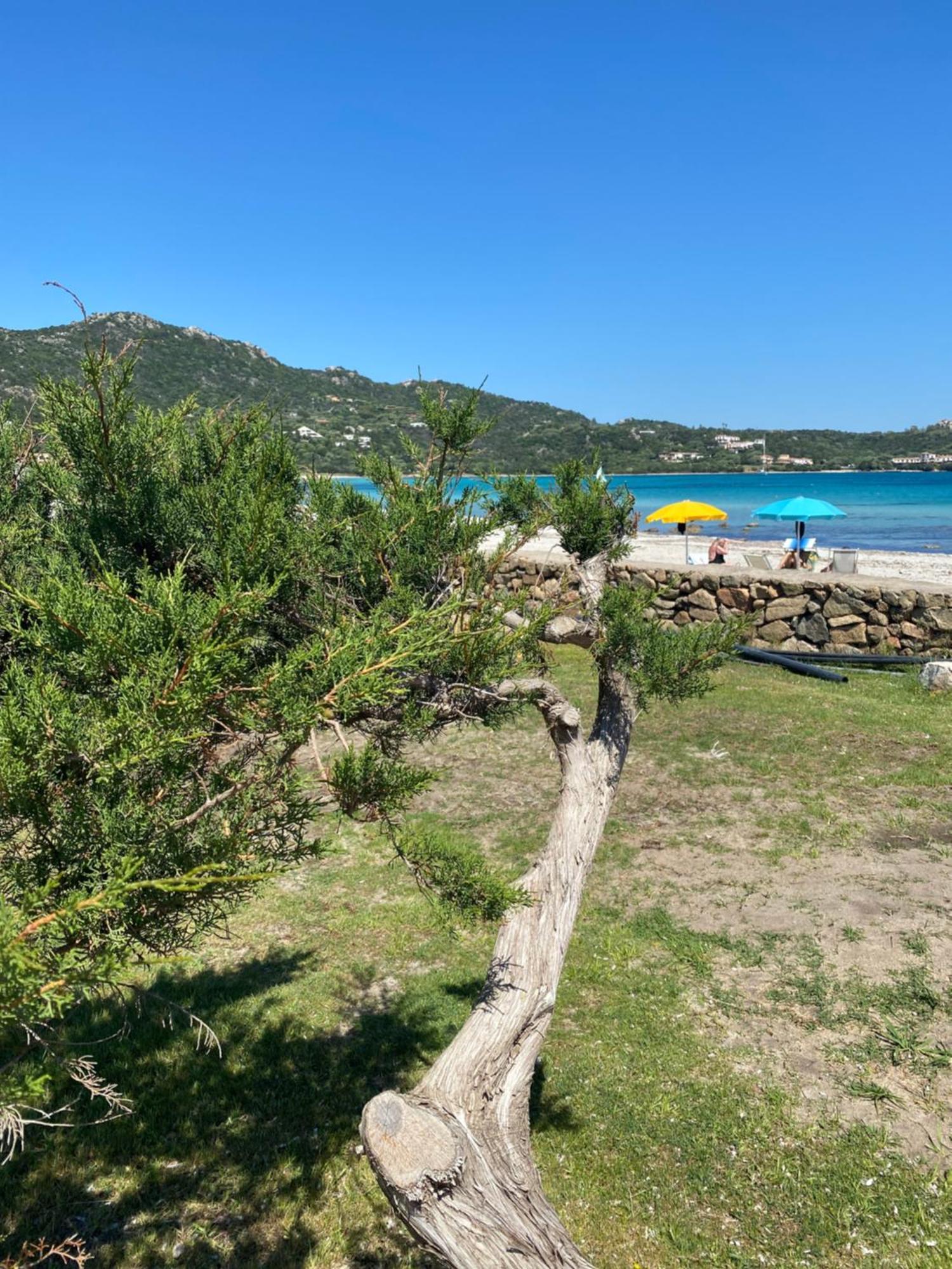 Cala Reale Rooms Marinella Marinella  Bagian luar foto